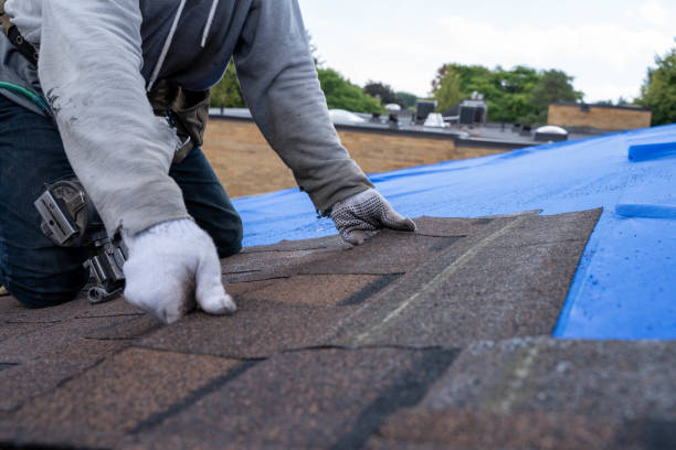 Best Roof Ventilation Installation  in Baker, MT